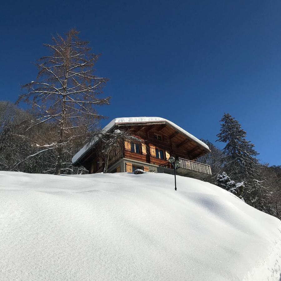 La Marmotte Qui Papote Lejlighed Le Grand-Bornand Eksteriør billede