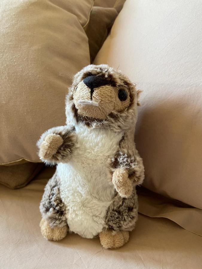 La Marmotte Qui Papote Lejlighed Le Grand-Bornand Eksteriør billede